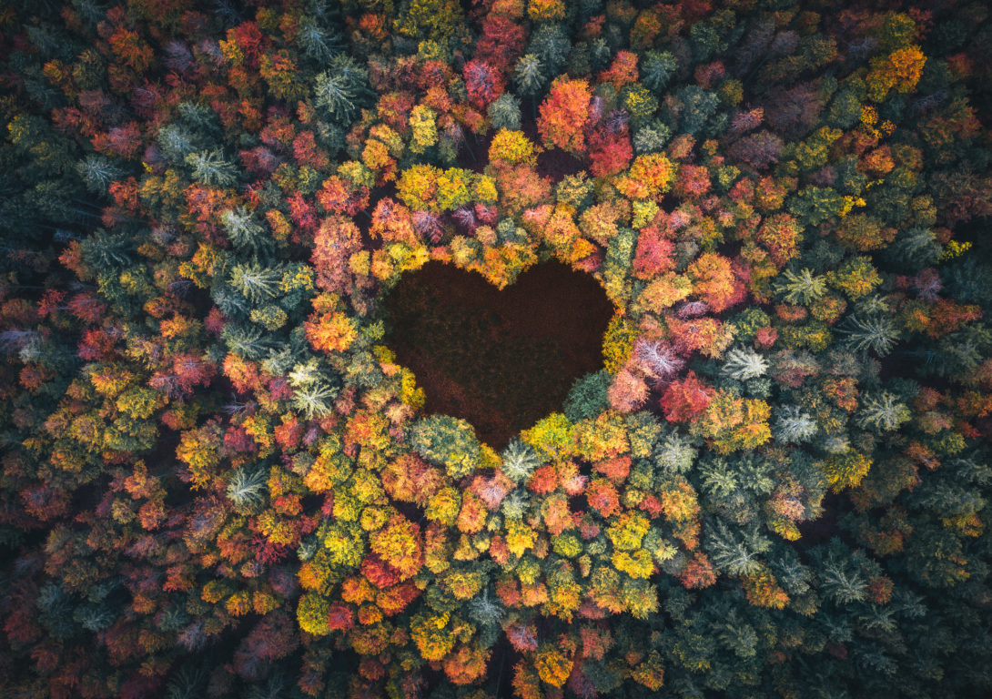 Heart shape through the forest treetops